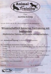 Seminar Tiertraining k